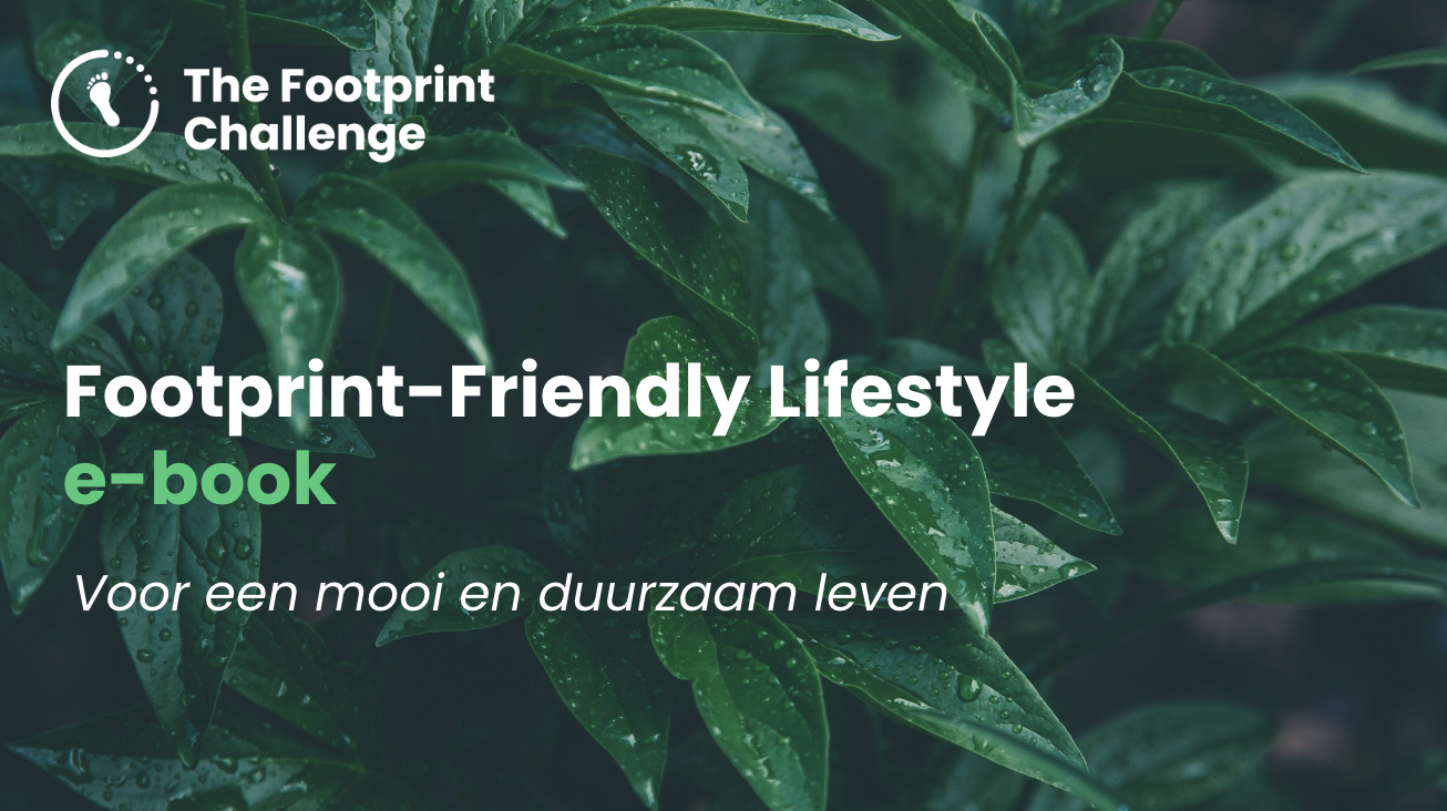 Footprint-Friendly Lifestyle E-book - NL